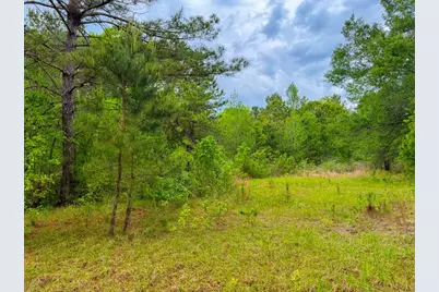 000 County Road 4630 Road N, Spurger, TX 77660 - Photo 24
