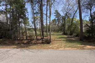 31910 Oaks Crossing, Magnolia, TX 77355 - Photo 1