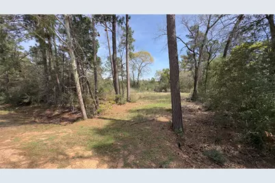 31910 Oaks Crossing, Magnolia, TX 77355 - Photo 4