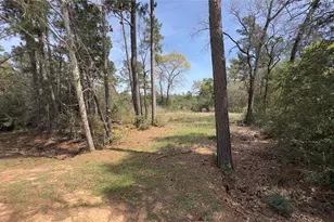 31910 Oaks Crossing, Magnolia, TX 77355 - Photo 4