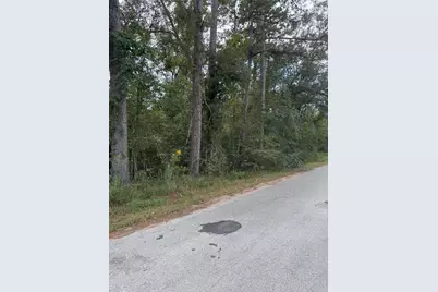 Lot 16 Long Street, Splendora, TX 77372 - Photo 2