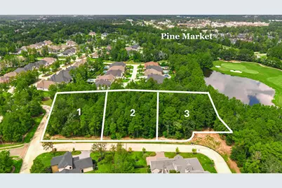 104 Castle Pines Drive, Montgomery, TX 77316 - Photo 2