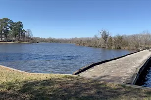 910 Brook Forest Ct, Conroe, TX 77385 - Photo 48