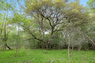 Tbd County Road 433, Dime Box, TX 77853 - Photo 2