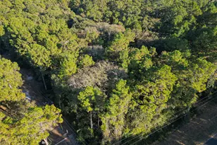 16893 Whippoorwill Rd Rd, Navasota, TX 77868 - Photo 18