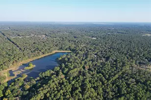 16893 Whippoorwill Rd Rd, Navasota, TX 77868 - Photo 14