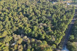 16893 Whippoorwill Rd Rd, Navasota, TX 77868 - Photo 8