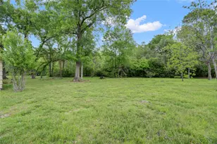 31 E Shady Ln, Houston, TX 77063 - Photo 12