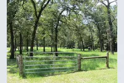 52 Fm 405 Road, Huntsville, TX 77320 - Photo 12