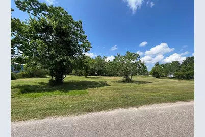 224 Coker Street, Jones Creek, TX 77541 - Photo 2