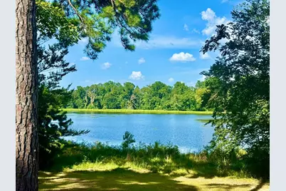 Tbd Lakeland Ranch Lot 392,393, Hillister, TX 77624 - Photo 1