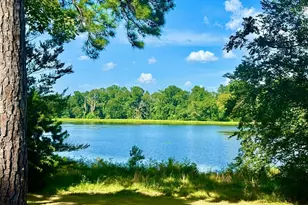 Tbd Lakeland Ranch Lot 392 393, Hillister, TX 77624 - Photo 1