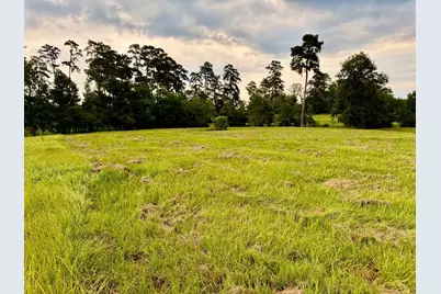 Tbd Lakeland Ranch Lot 392,393, Hillister, TX 77624 - Photo 30