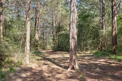 15946 Fm 1094, Cat Spring, TX 78933 - Photo 44