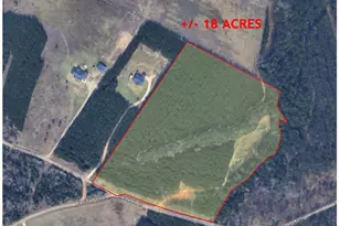 Tbd Sandydale Ln, Livingston, TX 77351 - Photo 1