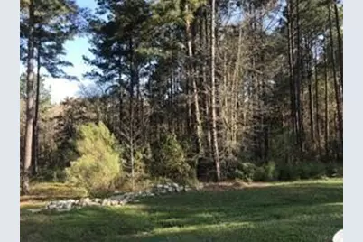 1513 Citron Court, Willis, TX 77378 - Photo 4