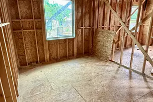 3909 Driscoll St, Houston, TX 77098 - Photo 10