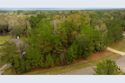 221 Skipper Jack, Montgomery, TX 77316 - Photo 2