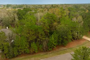 221 Skipper Jack, Montgomery, TX 77316 - Photo 2