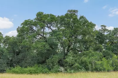 000 Schuster Road, Round Top, TX 78954 - Photo 4