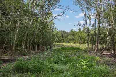 000 Schuster Road, Round Top, TX 78954 - Photo 2