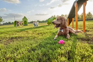 24946 Vervain Mdw Trl, Katy, TX 77493 - Photo 24