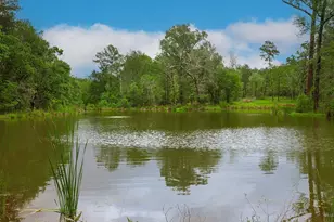 23514 Saratoga Woods Dr, Montgomery, TX 77316 - Photo 18