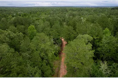 23514 Saratoga Woods Drive, Montgomery, TX 77316 - Photo 4