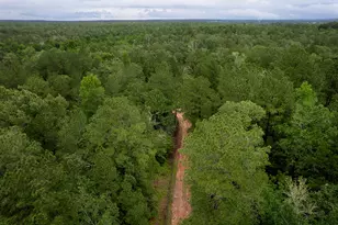 23514 Saratoga Woods Dr, Montgomery, TX 77316 - Photo 4