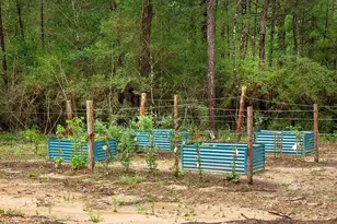 23514 Saratoga Woods Dr, Montgomery, TX 77316 - Photo 22