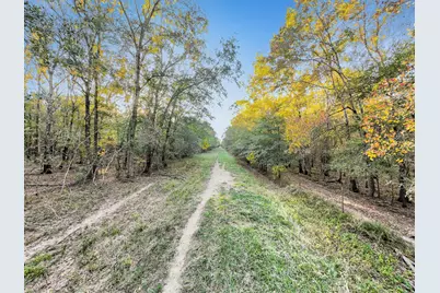 Tbd County Road 2058, Hull, TX 77564 - Photo 38