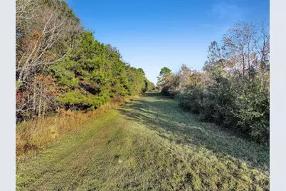 Tbd County Road 2058, Hull, TX 77564 - Photo 28