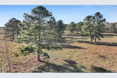 Tbd County Road 2058, Hull, TX 77564 - Photo 12