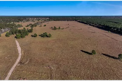 Tbd County Road 2058, Hull, TX 77564 - Photo 4