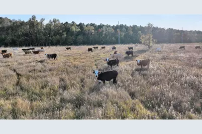 Tbd County Road 2058, Hull, TX 77564 - Photo 16