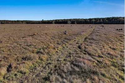 Tbd County Road 2058, Hull, TX 77564 - Photo 8