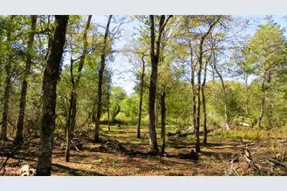 Tbd Jack Rabbit Lane, Hearne, TX 77859 - Photo 8