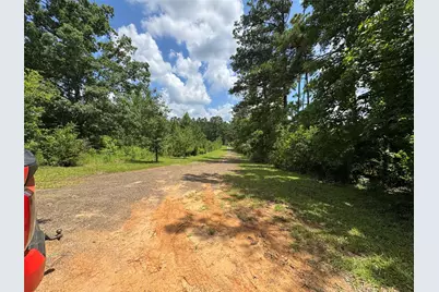 3095 County Road 1087, Wiergate, TX 75977 - Photo 6