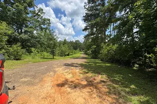 3095 County Rd 1087, Wiergate, TX 75977 - Photo 6