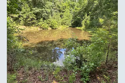 3095 County Road 1087, Wiergate, TX 75977 - Photo 20