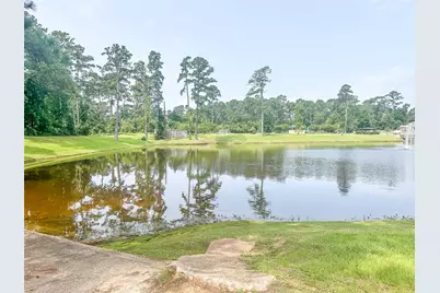 277 Stalwart Hill Trail, Magnolia, TX 77354 - Photo 38