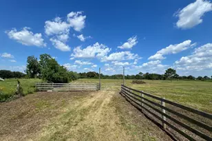 0000 County Road 203, Liverpool, TX 77577 - Photo 2