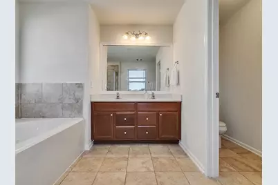 14106 Spring Birch Lane, Pearland, TX 77584 - Photo 20