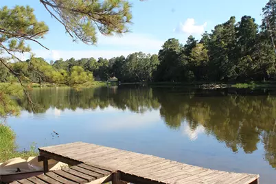 000 Evergreen Lane, Montgomery, TX 77356 - Photo 8