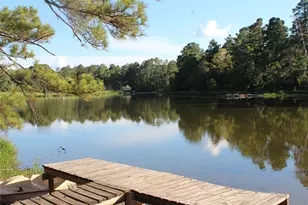 000 Evergreen Ln, Montgomery, TX 77356 - Photo 8