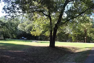 000 Evergreen Ln, Montgomery, TX 77356 - Photo 4