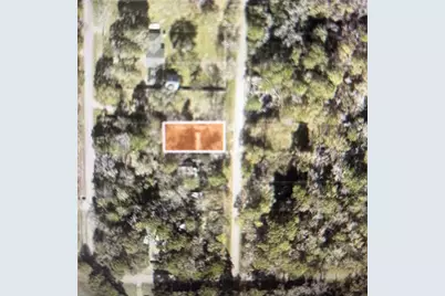 21184 Idlewild Road, New Caney, TX 77357 - Photo 2