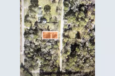 21184 Idlewild Road, New Caney, TX 77357 - Photo 6