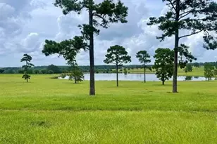 Lot 234 Lakeland Ranch, Hillister, TX 77624 - Photo 1