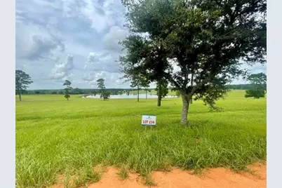 Lot 234 Lakeland Ranch, Hillister, TX 77624 - Photo 6
